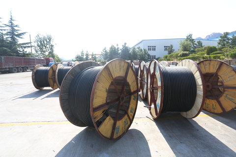 <img src=http://m.51dna.cn/d/file/45d0889889508b4d138e157f63c62eae.jpg height=300>