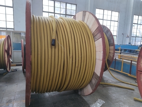 <img src=http://m.51dna.cn/d/file/a4e2c0d56f383e112b8babd7d9ae67c4.jpg height=300>